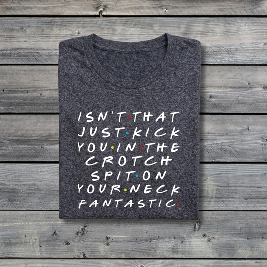 Kick You in the Crotch Spit on Your Neck Fantastic T‑Shirt – Funny Friends Rachel Quote Tee
